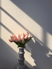 사랑을 알려드려요