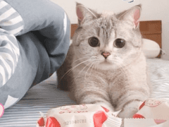 연재 예정작들 + 사담