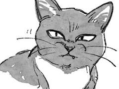 강아지 고양이 한주원