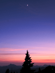 오늘의 나, 내일의 나