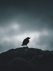 뮤지컬 에드거 앨런 포우