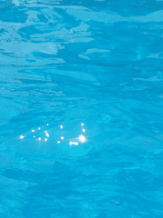 이세계를 여행하는 여행자를 위한 안내서