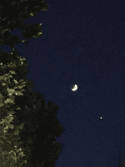 死卽生(사즉생)