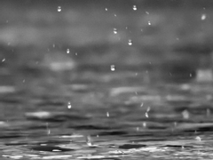 [캣마리] 소나기