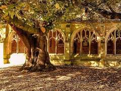 DO U KNOW ME, BUDDY?