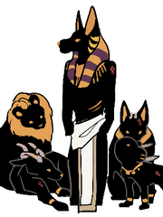 네거티브 NEGATIVE