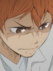 태양이 아네모네로 질때까지