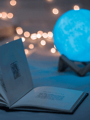 커미션 인포 & 공지사항