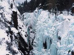 햄션 / 이방인과 춤을