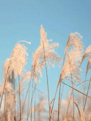 길 위에서 전해지는(개정중)