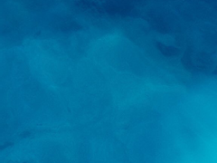 만약에 누가 내 자캐그려주면