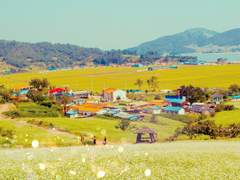 파란만장 시골일기