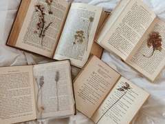 아무도 모르는 그 이야기.