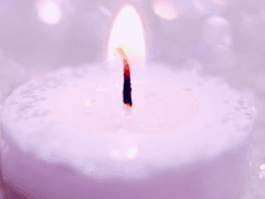 루시 레리아나*23*XY