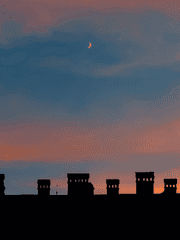 네가 별을 가리킬 때 나는 너의 손끝만 봐