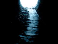 윌슨과 레이와 베리와 로즈와 케이와 사라와 칸과 제이스와 반과 테이와 펠릭스