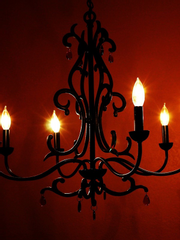 우리를 위한 낙원