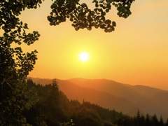 닿지 못할 말들