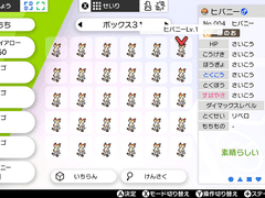 포켓몬 소드 근황