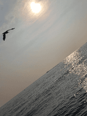 사진이 삶이라면, 내 삶의 일부는 아름다울지도