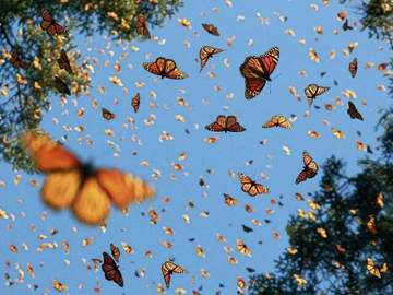 당신들이 날 안아준다면,