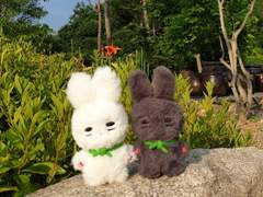 ❝CLOSED❞ KONGONEW & BLACKKONGONEW