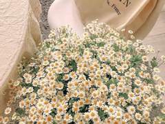 How are you feeling today?