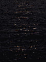 세베루스 스네이프