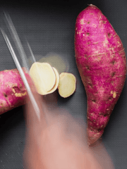 렌탄 단편모음집