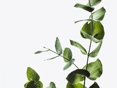 [사네겐] 긴 여행을 마치고 나오는 너에게, 터널 끝에서 기다리며