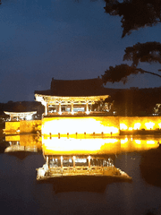 어느날, 눈떠보니 범의 황후가 되어있었습니다?!