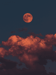 [단편]밤이 깊어 갈수록 새벽이 가까워 온다.