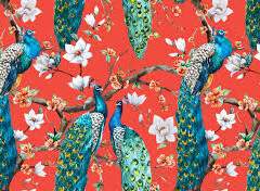 [고죠게토/토우게토] 부외자