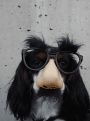 기타 등등 백업