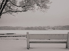 [주원동식] 남겨진 사람