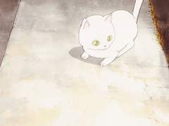 다자아츠 귀여운 고양이 썰