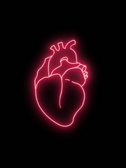 멸종 위기의 사랑