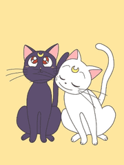 본격! 망한 플러팅 대회