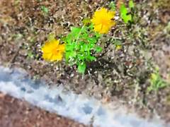 [단편 소설] 너의 자리 (完)