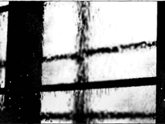 비가 오는 날에는