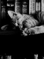 사랑은 자급자족!