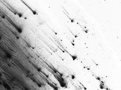 [KKIR] Feed the flame. 10 ½