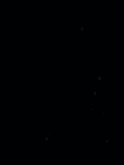 인성 시뮬레이션