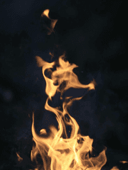 [강김]Born To Be Alone