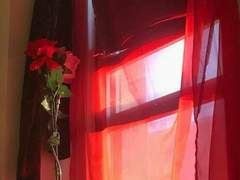 달콤, 살벌한 로맨스