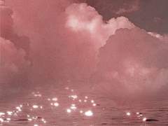 공허함과 나태함.