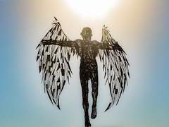 [리버티] 비상하는 이카루스여