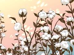 하얀꽃 3종 브러쉬 세트