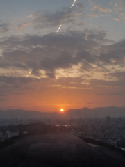 쓰다 만 이야기