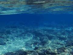 [익명] 달은 멈추고 너는 잠시 머물러 잃어버린 춤을 춘다 下